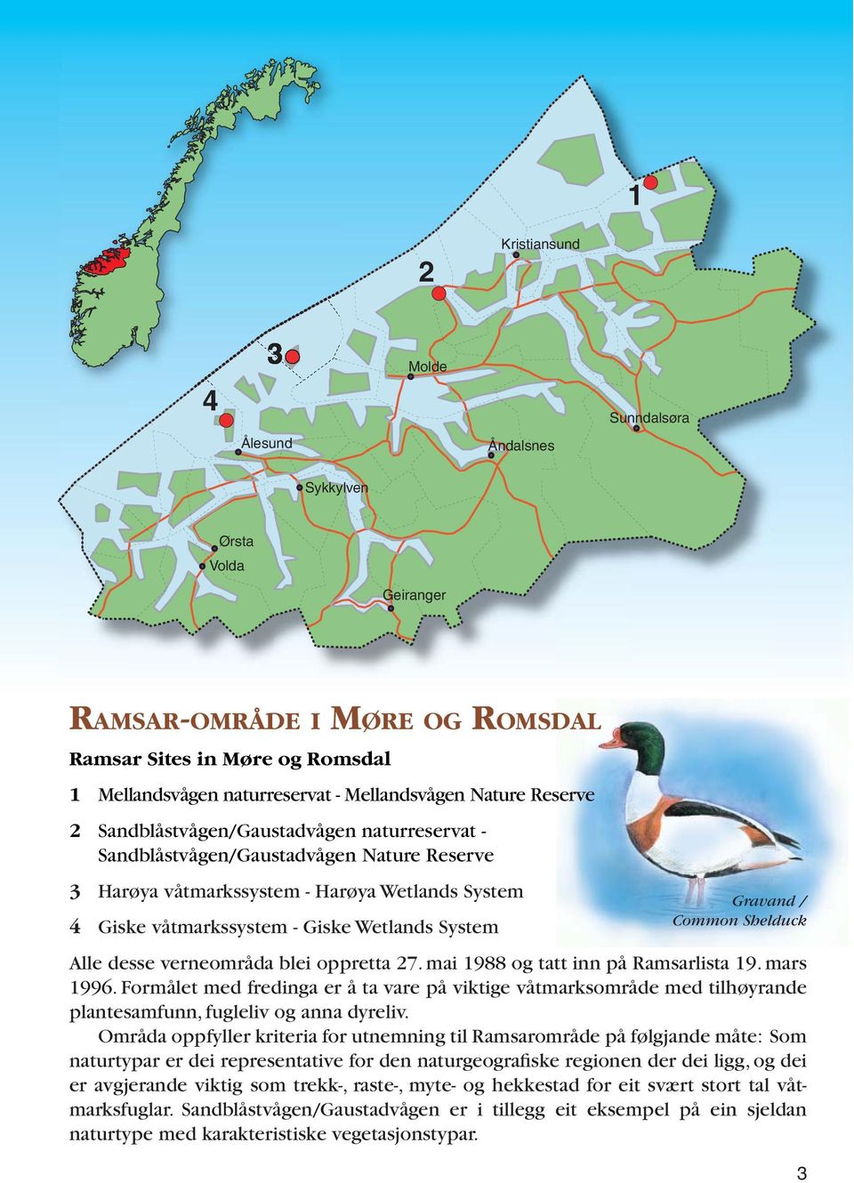 Sandblåstvågen/Gaustadvågen naturreservat - Sandblåstvågen/Gaustadvågen Nature Reserve 3 Harøya våtmarkssystem - Harøya Wetlands System 4 Giske våtmarkssystem - Giske Wetlands System Gravand / Common