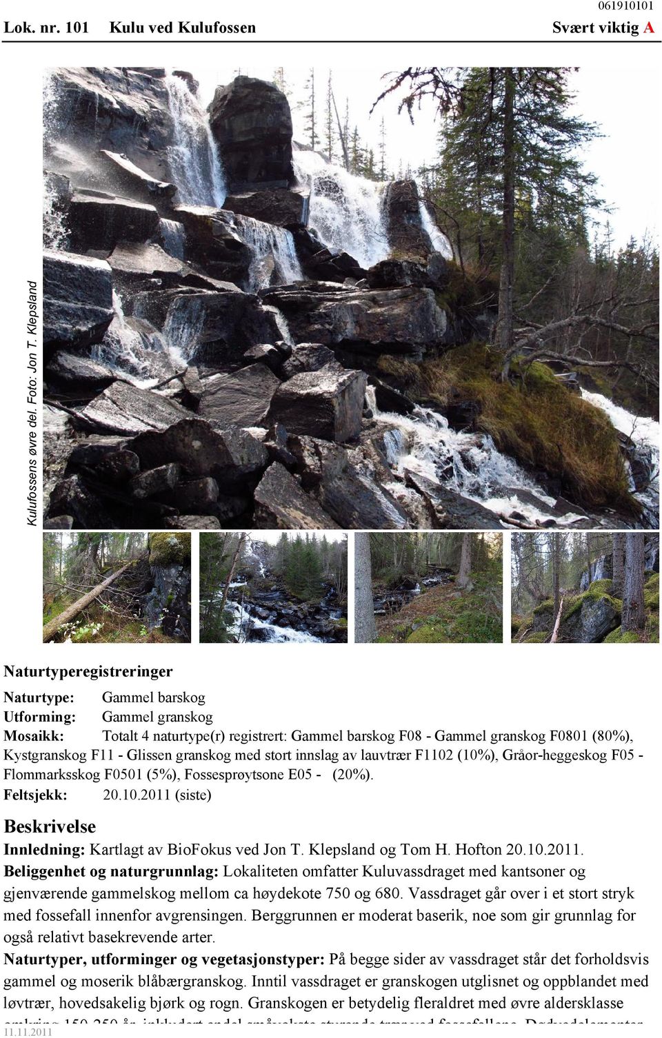 Glissen granskog med stort innslag av lauvtrær F1102 (10%), Gråor-heggeskog F05 Flommarksskog F0501 (5%), Fossesprøytsone E05 - (20%). Feltsjekk: 20.10.2011 (siste) Beskrivelse Innledning: Kartlagt av BioFokus ved Jon T.