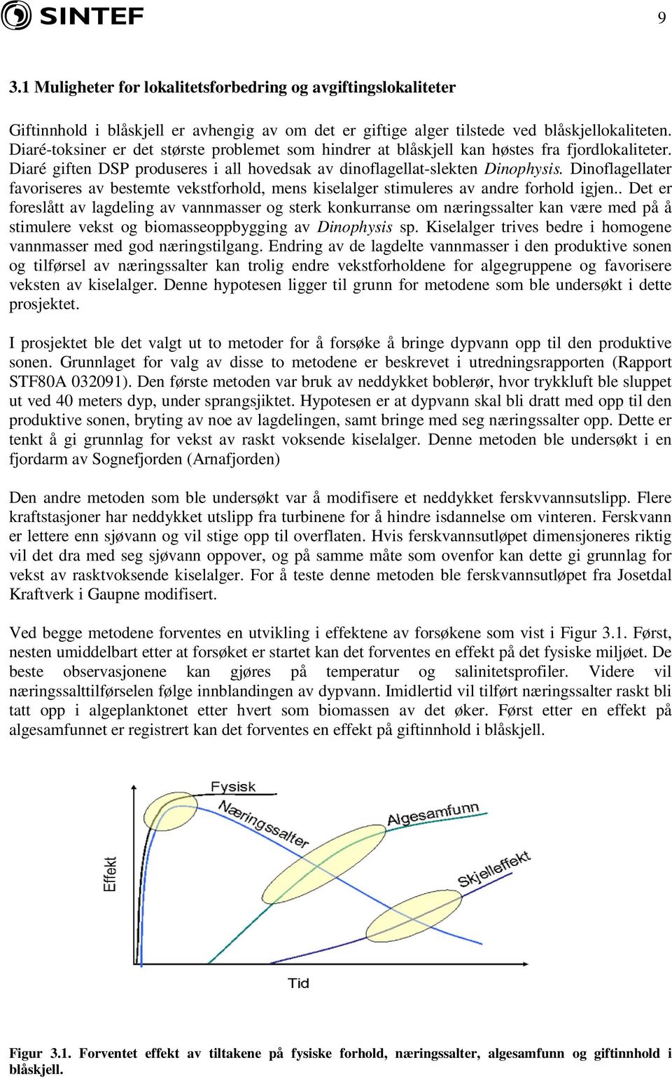 Dinoflagellater favoriseres av bestemte vekstforhold, mens kiselalger stimuleres av andre forhold igjen.