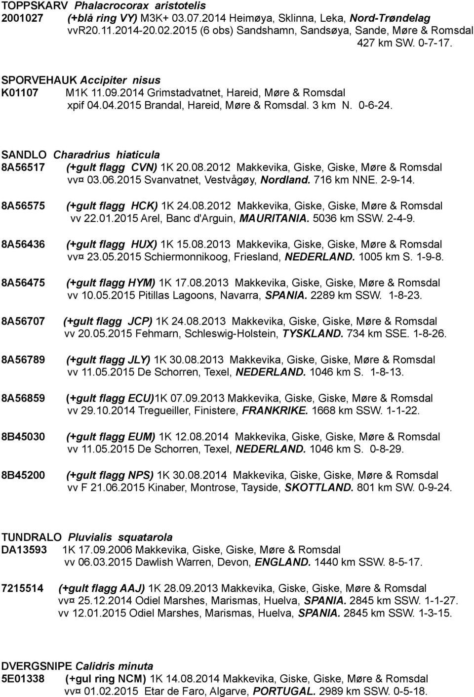SANDLO Charadrius hiaticula 8A56517 (+gult flagg CVN) 1K 20.08.2012 Makkevika, Giske, Giske, Møre & Romsdal vv 03.06.2015 Svanvatnet, Vestvågøy, Nordland. 716 km NNE. 2-9-14.