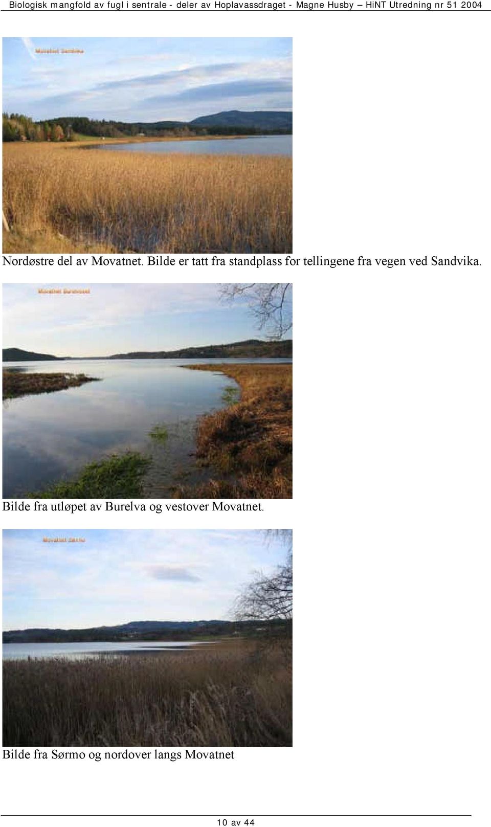 vegen ved Sandvika.