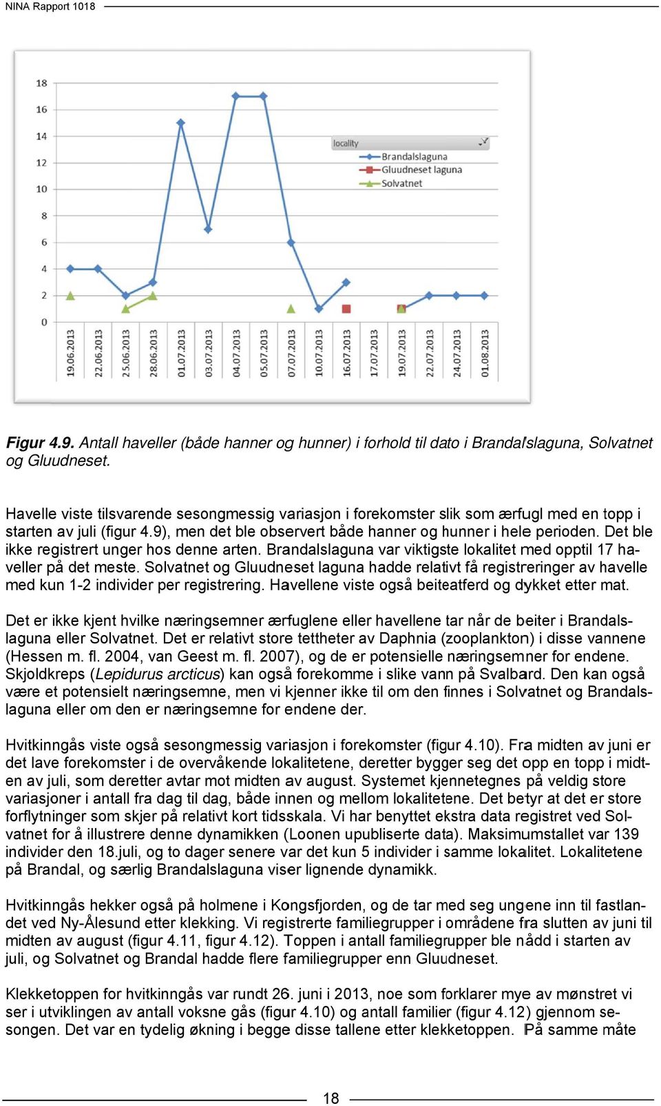 Det ble ikke registrert unger hos denne arten. Brandalslagunaa var viktigste lokalitet med opptil 17 hahavelle med kun 1-2 individer per registrering.