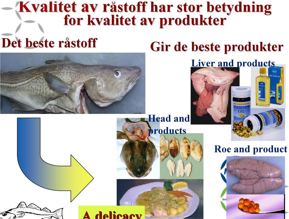 produkter Gir de beste produkter Liver