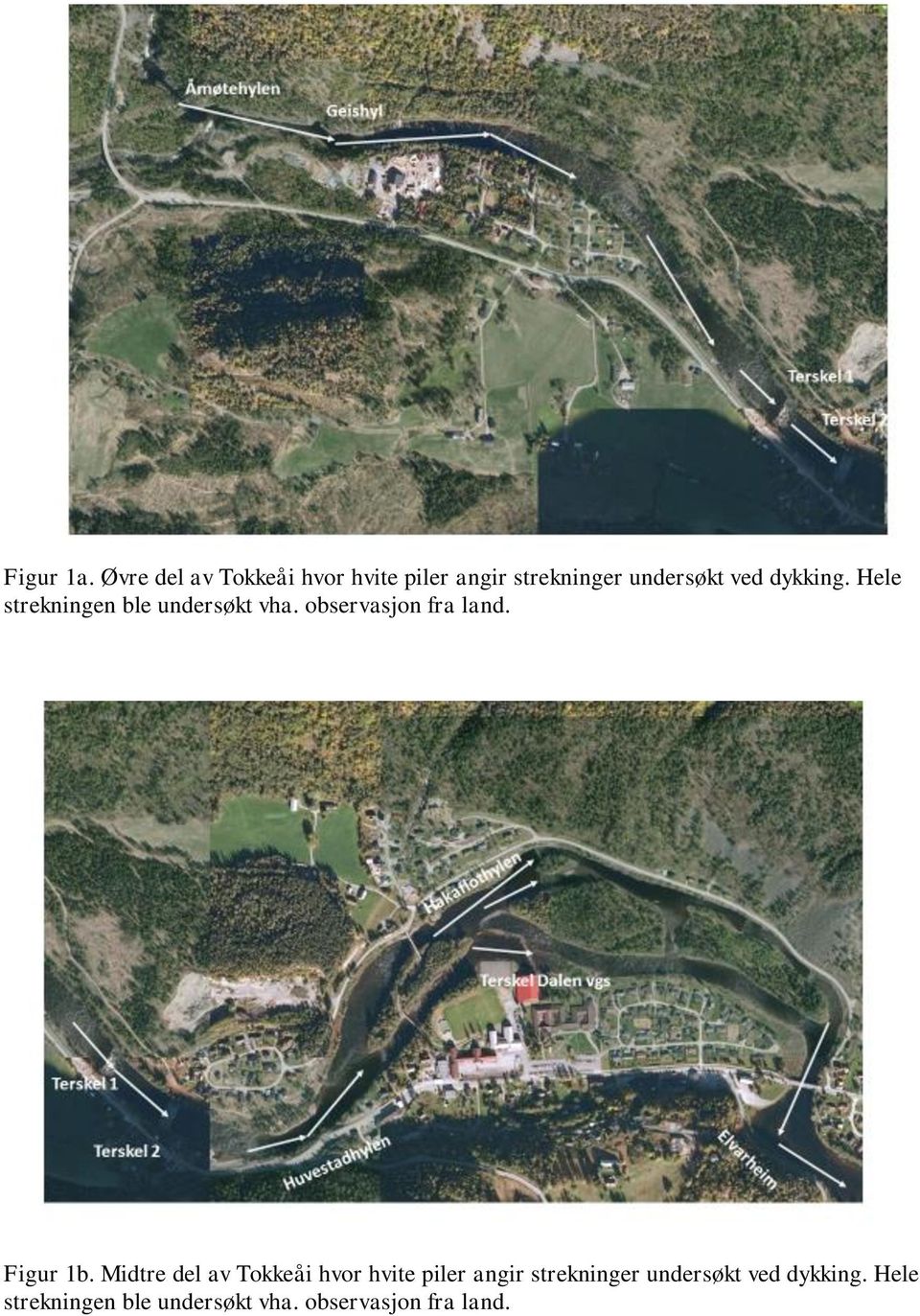 dykking. Hele strekningen ble undersøkt vha. observasjon fra land.