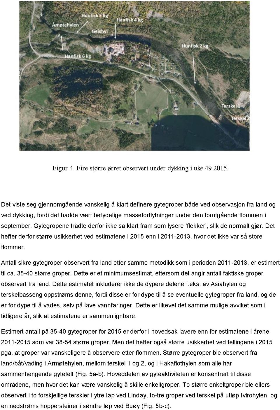 september. Gytegropene trådte derfor ikke så klart fram som lysere flekker, slik de normalt gjør.