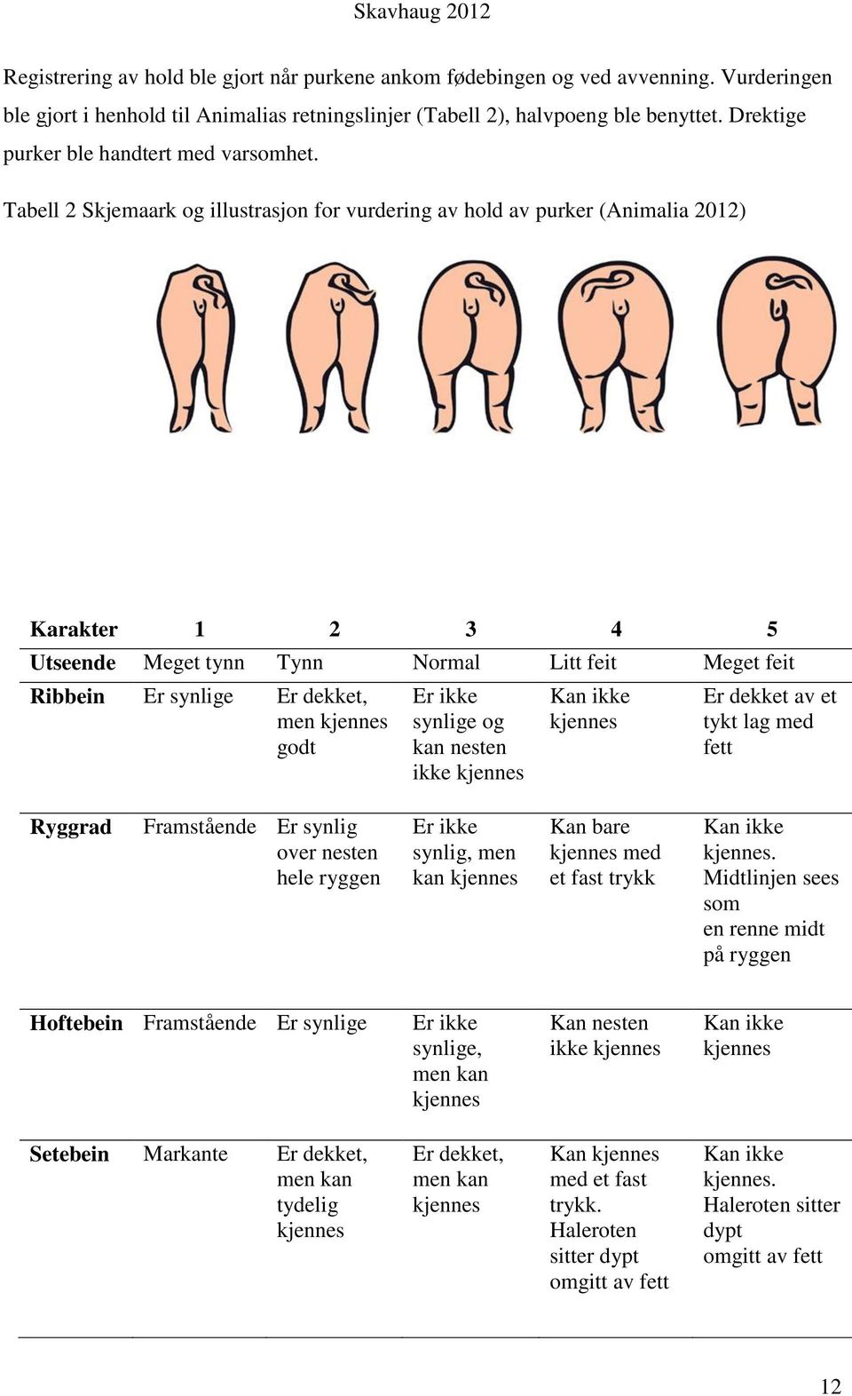 Tabell 2 Skjemaark og illustrasjon for vurdering av hold av purker (Animalia 2012) Karakter 1 2 3 4 5 Utseende Meget tynn Tynn Normal Litt feit Meget feit Ribbein Er synlige Er dekket, men kjennes