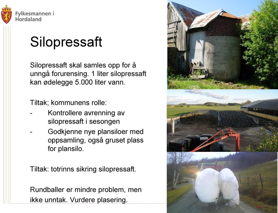 Foto: Øyvind Vatshelle Tiltak; kommunens rolle: - Kontrollere avrenning av silopressaft i sesongen