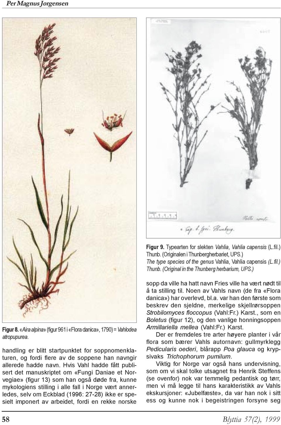 Hvis Vahl hadde fått publisert det manuskriptet om «Fungi Daniae et Norvegiae» (figur 13) som han også døde fra, kunne mykologiens stilling i alle fall i Norge vært annerledes, selv om Eckblad (1996: