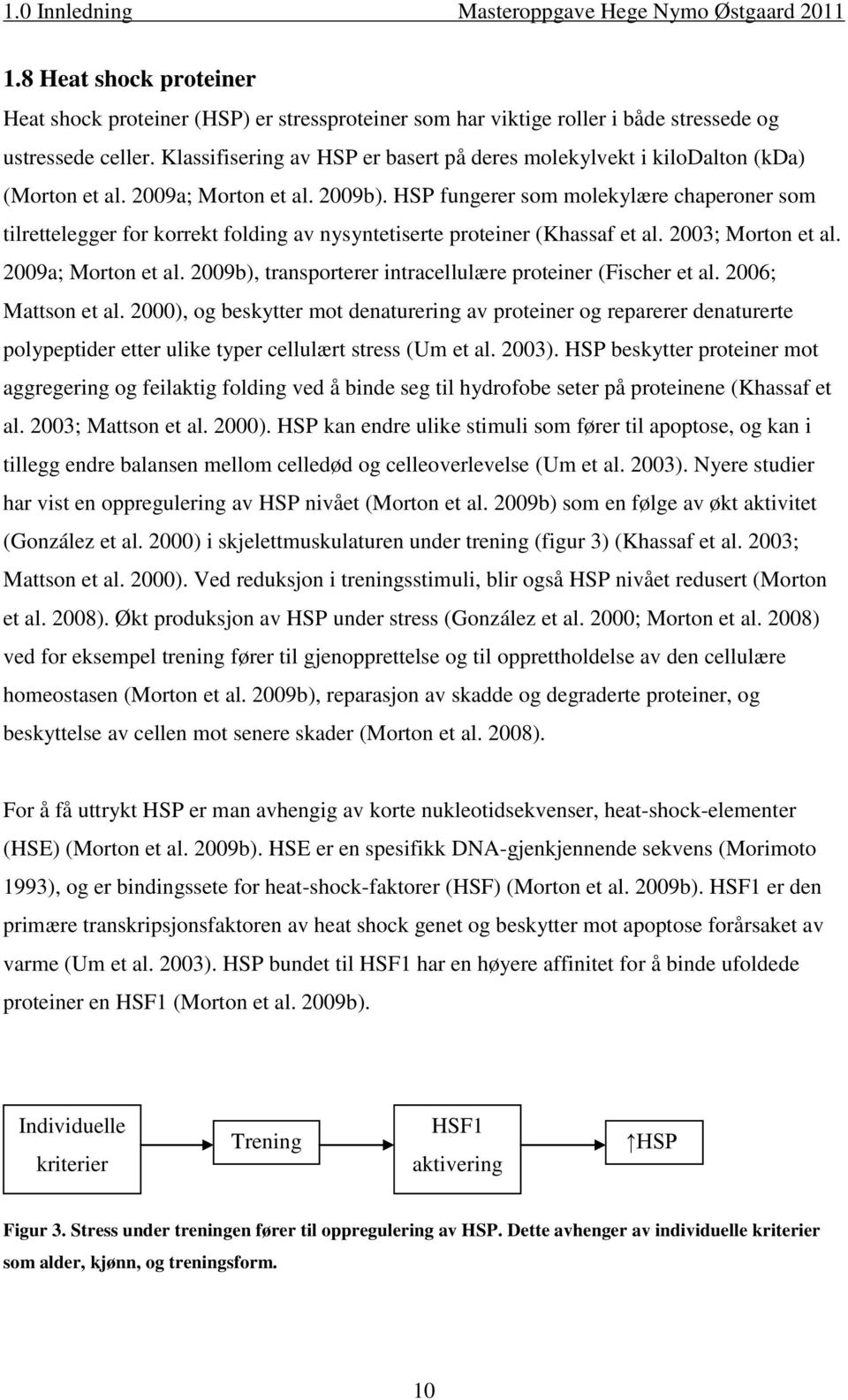 HSP fungerer som molekylære chaperoner som tilrettelegger for korrekt folding av nysyntetiserte proteiner (Khassaf et al. 2003; Morton et al. 2009a; Morton et al.