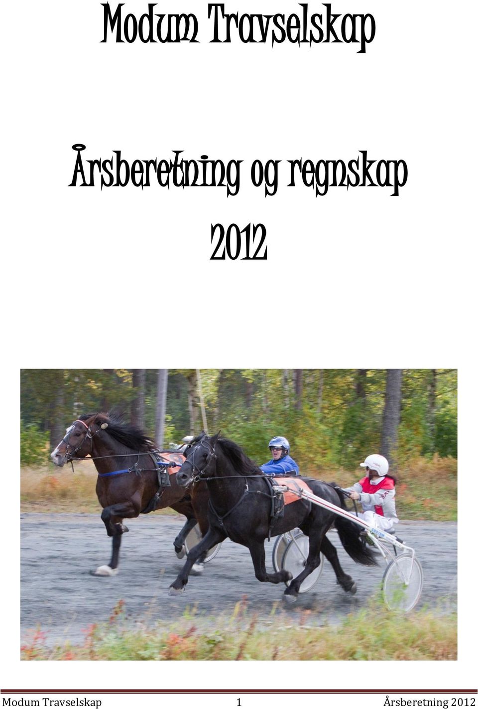 regnskap 2012  1