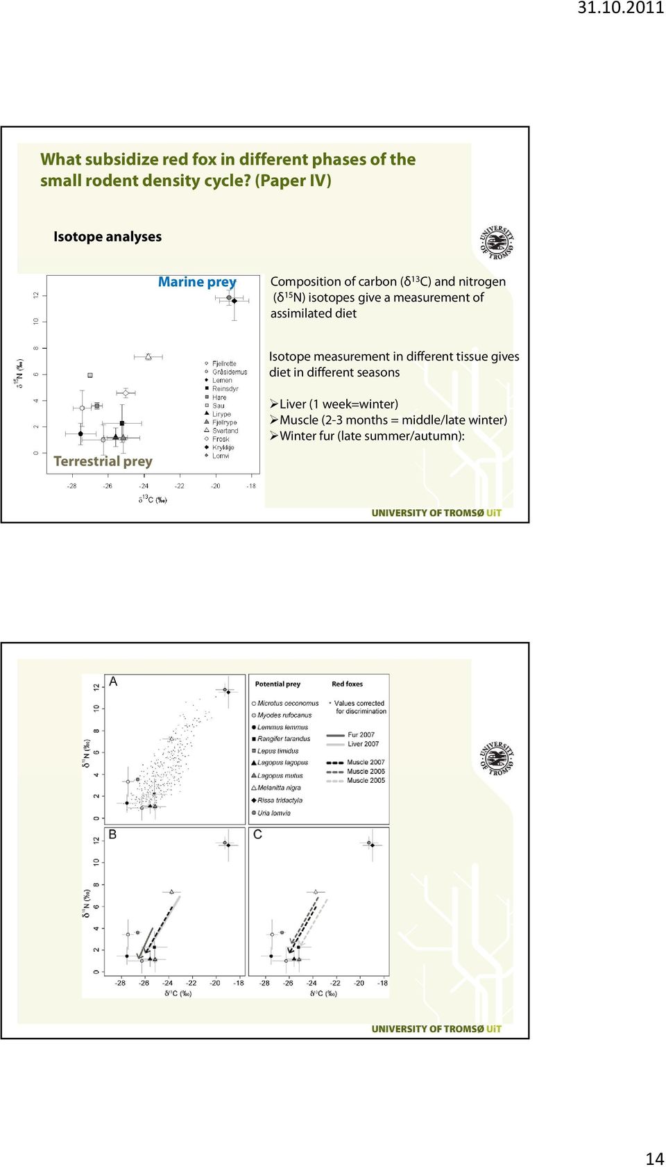 give a measurement of assimilated diet Isotope measurement in different tissue gives diet in