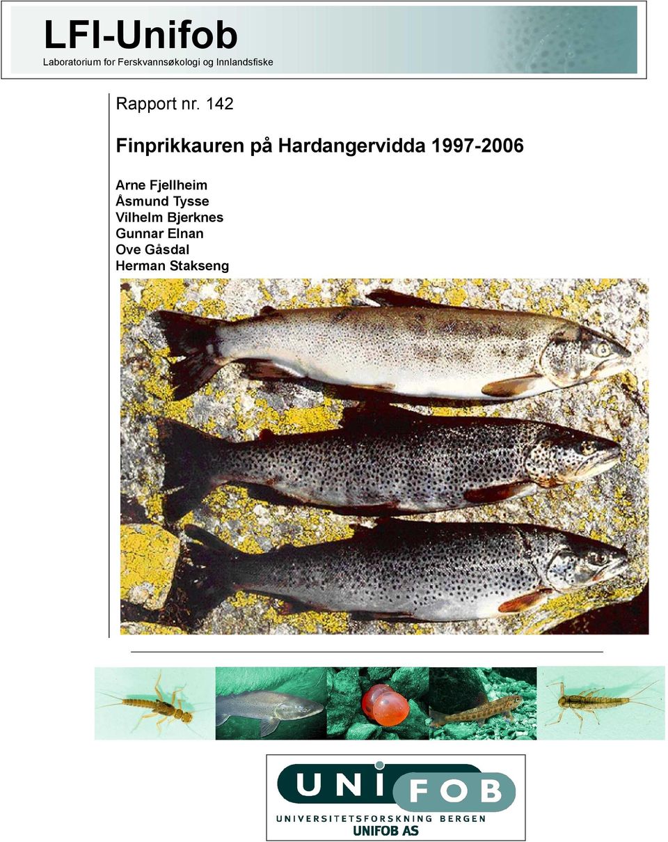 Finprikkauren på Hardangervidda - Arne Fjellheim