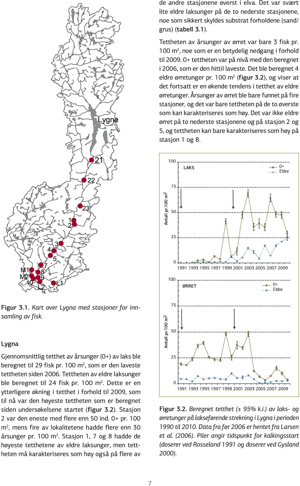 Det ble beregnet 4 eldre ørretunger pr. 1 m 2 (figur 3.2), og viser at det fortsatt er en økende tendens i tetthet av eldre ørretunger.