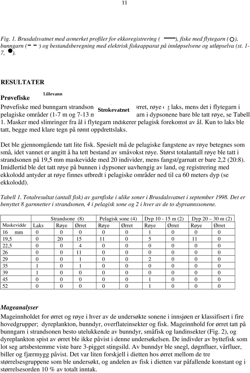 RESULTATER Lillevann Prøvefiske Prøvefiske med bunngarn strandsonen Strokevatnet ga fangst av ørret, røye og laks, mens det i flytegarn i pelagiske områder (1-7 m og 7-13 m) og med bunngarn i