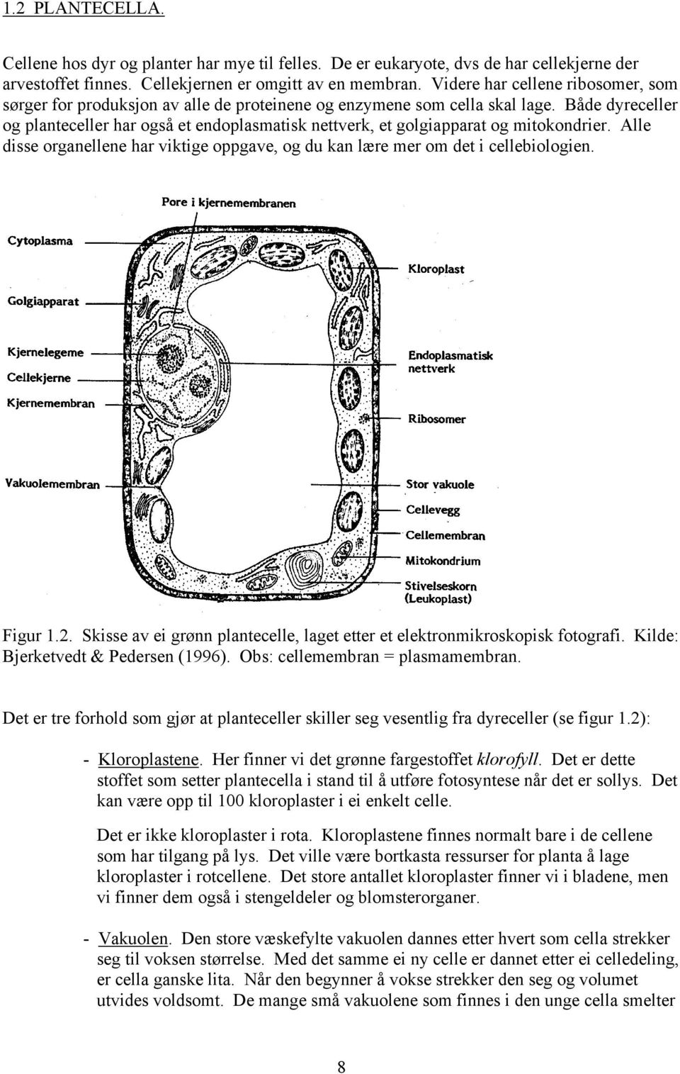 Både dyreceller og planteceller har også et endoplasmatisk nettverk, et golgiapparat og mitokondrier. Alle disse organellene har viktige oppgave, og du kan lære mer om det i cellebiologien. Figur 1.2.