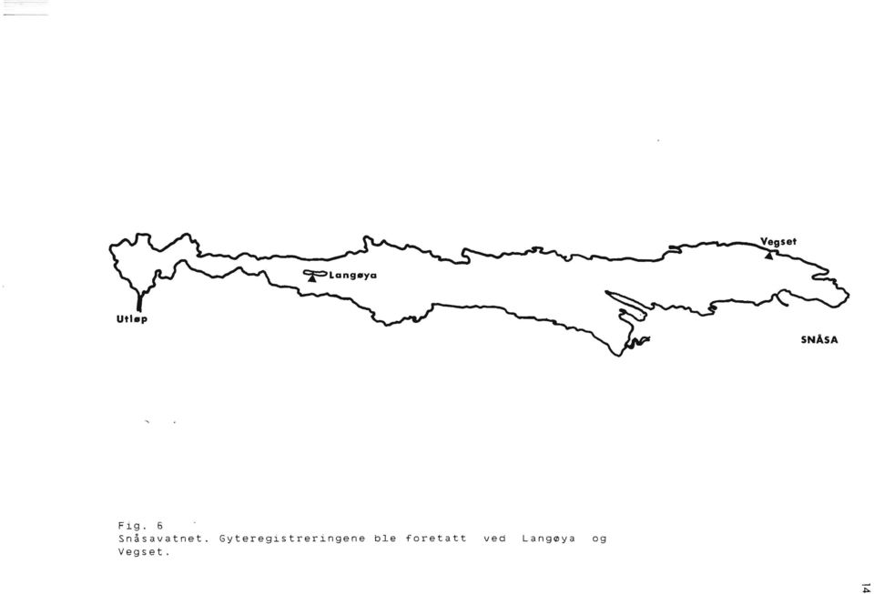 Gyteregistreringene