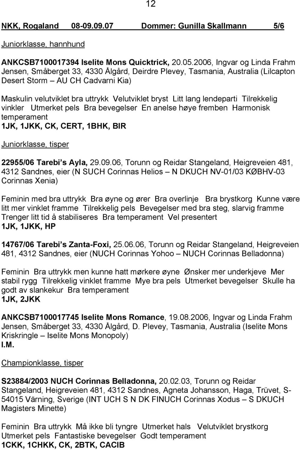 lang lendeparti Tilrekkelig vinkler Utmerket pels Bra bevegelser En anelse høye fremben Harmonisk temperament 1JK, 1JKK, CK, CERT, 1BHK, BIR Juniorklasse, tisper 22955/06 Tarebi s Ayla, 29.09.