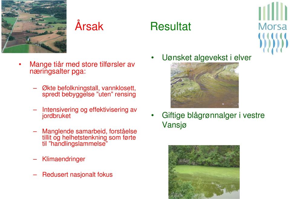 effektivisering av jordbruket Manglende samarbeid, forståelse tillit og helhetstenkning som