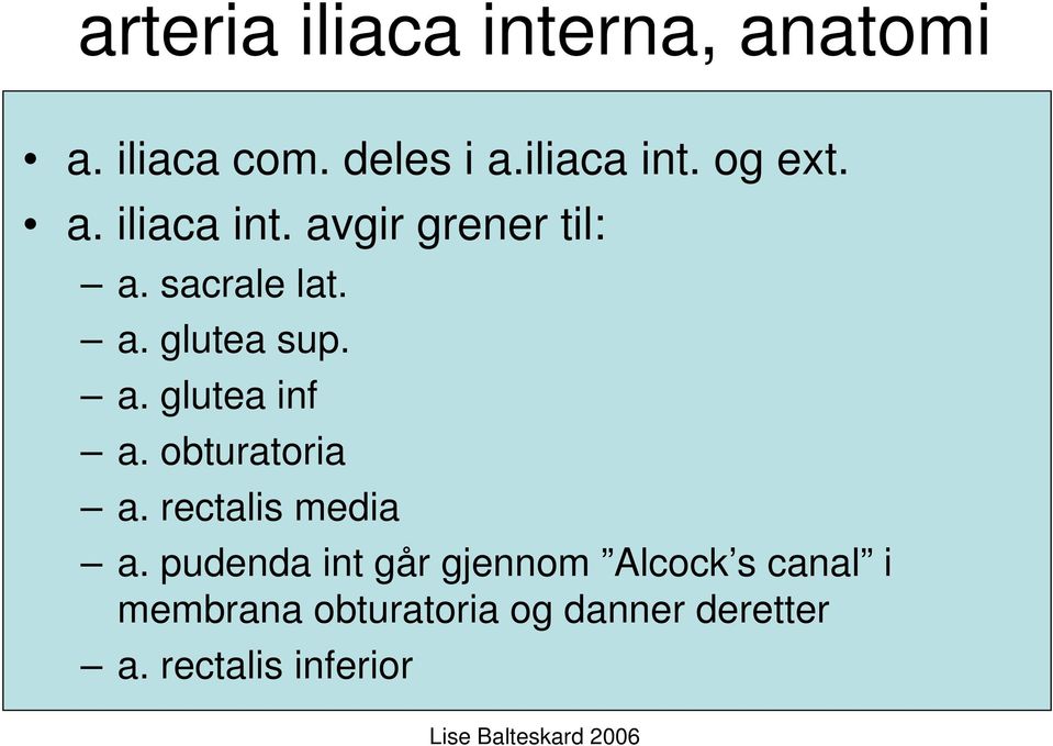 obturatoria a. rectalis media a.