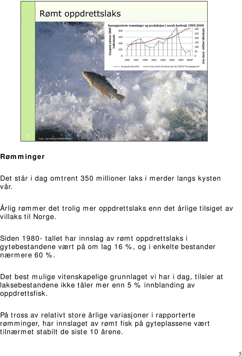 Siden 1980- tallet har innslag av rømt oppdrettslaks i gytebestandene vært på om lag 16 %, og i enkelte bestander nærmere 60 %.