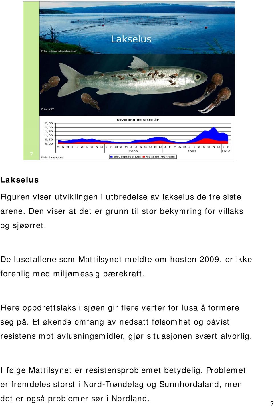 Flere oppdrettslaks i sjøen gir flere verter for lusa å formere seg på.