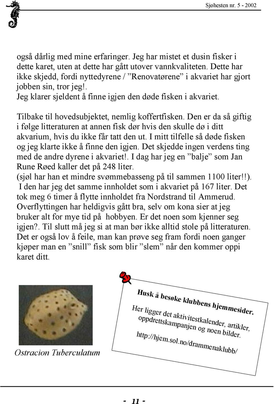 . Jeg klarer sjeldent å finne igjen den døde fisken i akvariet. Tilbake til hovedsubjektet, nemlig koffertfisken.