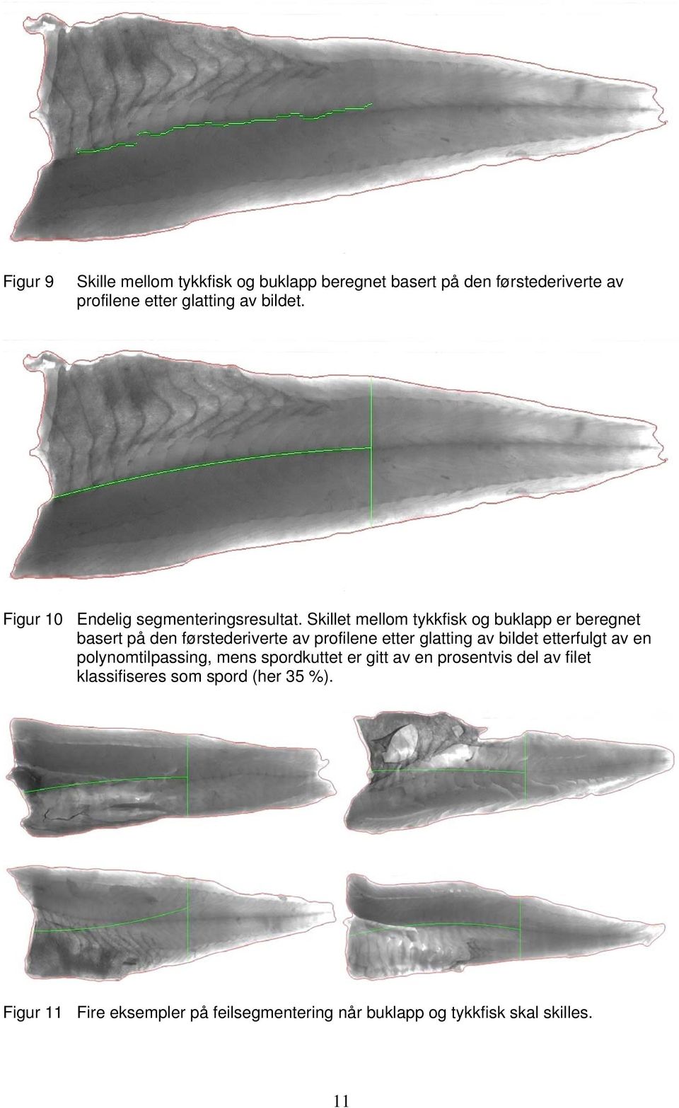 Skillet mellom tykkfisk og buklapp er beregnet basert på den førstederiverte av profilene etter glatting av bildet