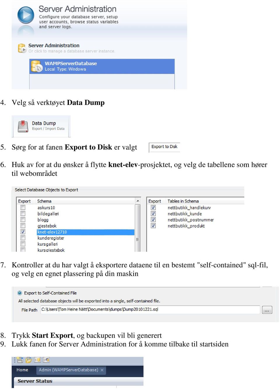 Kontroller at du har valgt å eksportere dataene til en bestemt "self-contained" sql-fil, og velg en egnet