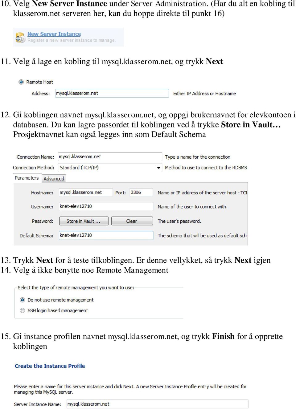 Du kan lagre passordet til koblingen ved å trykke Store in Vault Prosjektnavnet kan også legges inn som Default Schema 13. Trykk Next for å teste tilkoblingen.