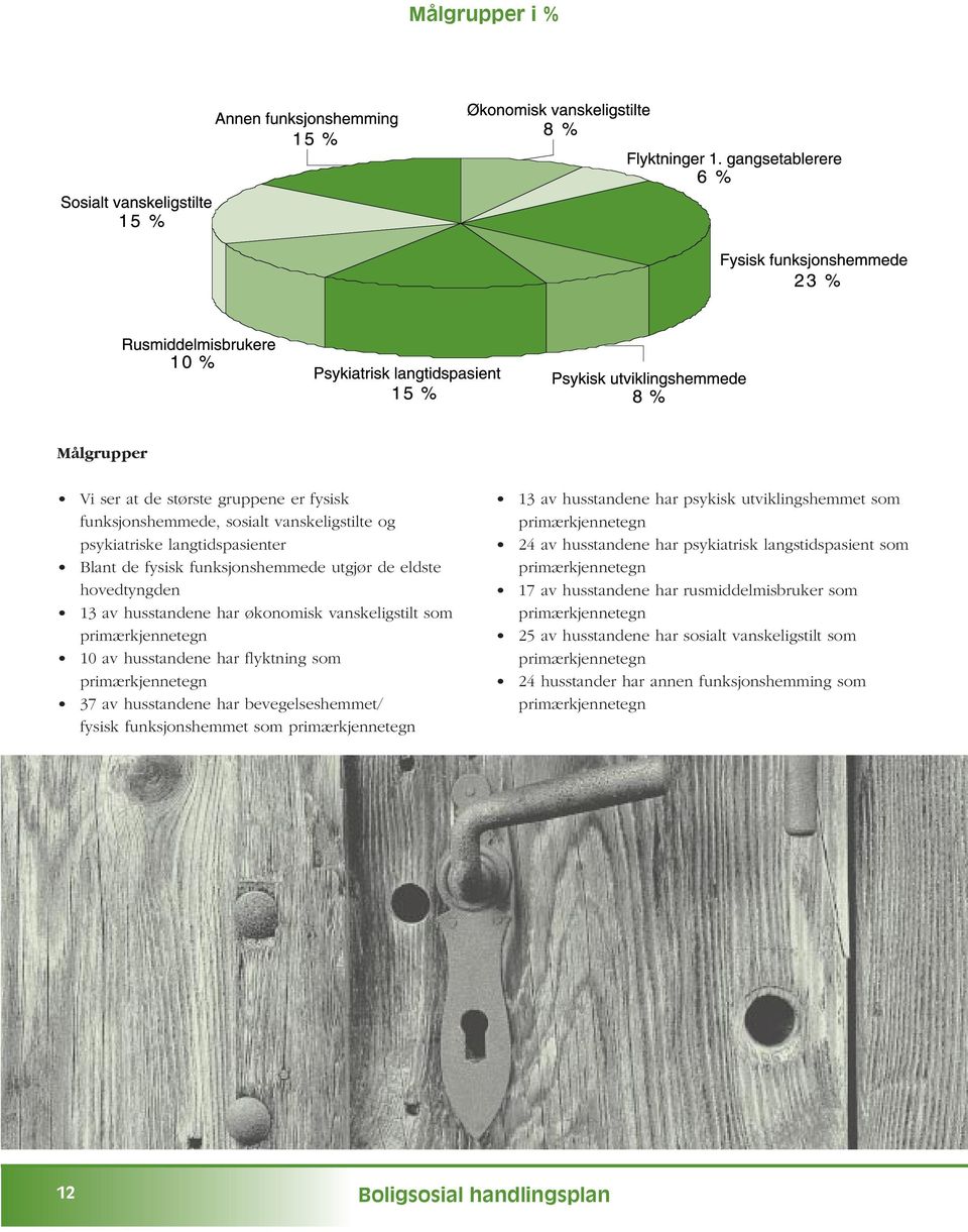 fysisk funksjonshemmet som primærkjennetegn 13 av husstandene har psykisk utviklingshemmet som primærkjennetegn 24 av husstandene har psykiatrisk langstidspasient som primærkjennetegn
