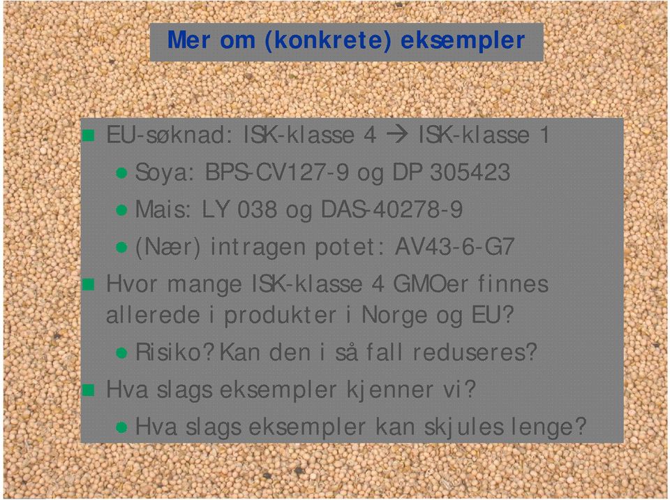 ISK-klasse 4 GMOer finnes allerede i produkter i Norge og EU? Risiko?