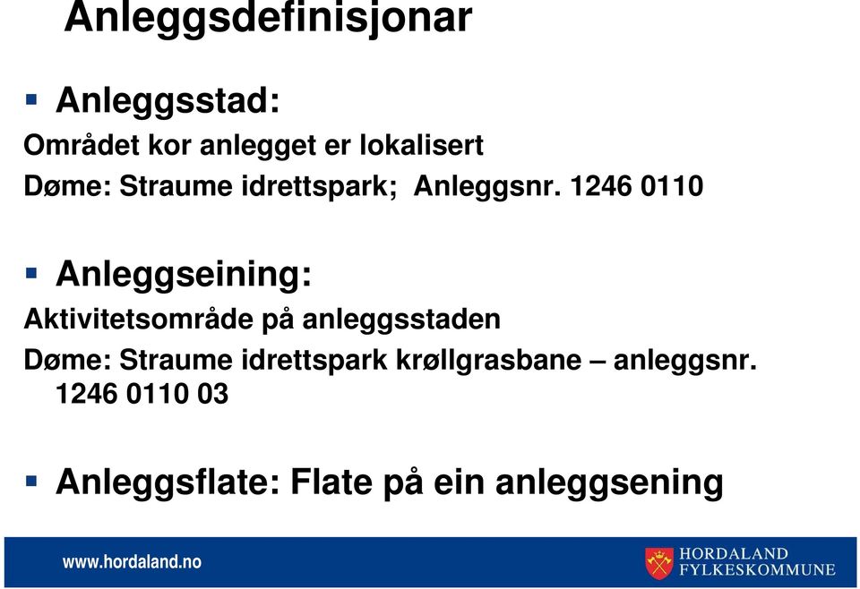 1246 0110 Anleggseining: Aktivitetsområde på anleggsstaden Døme: