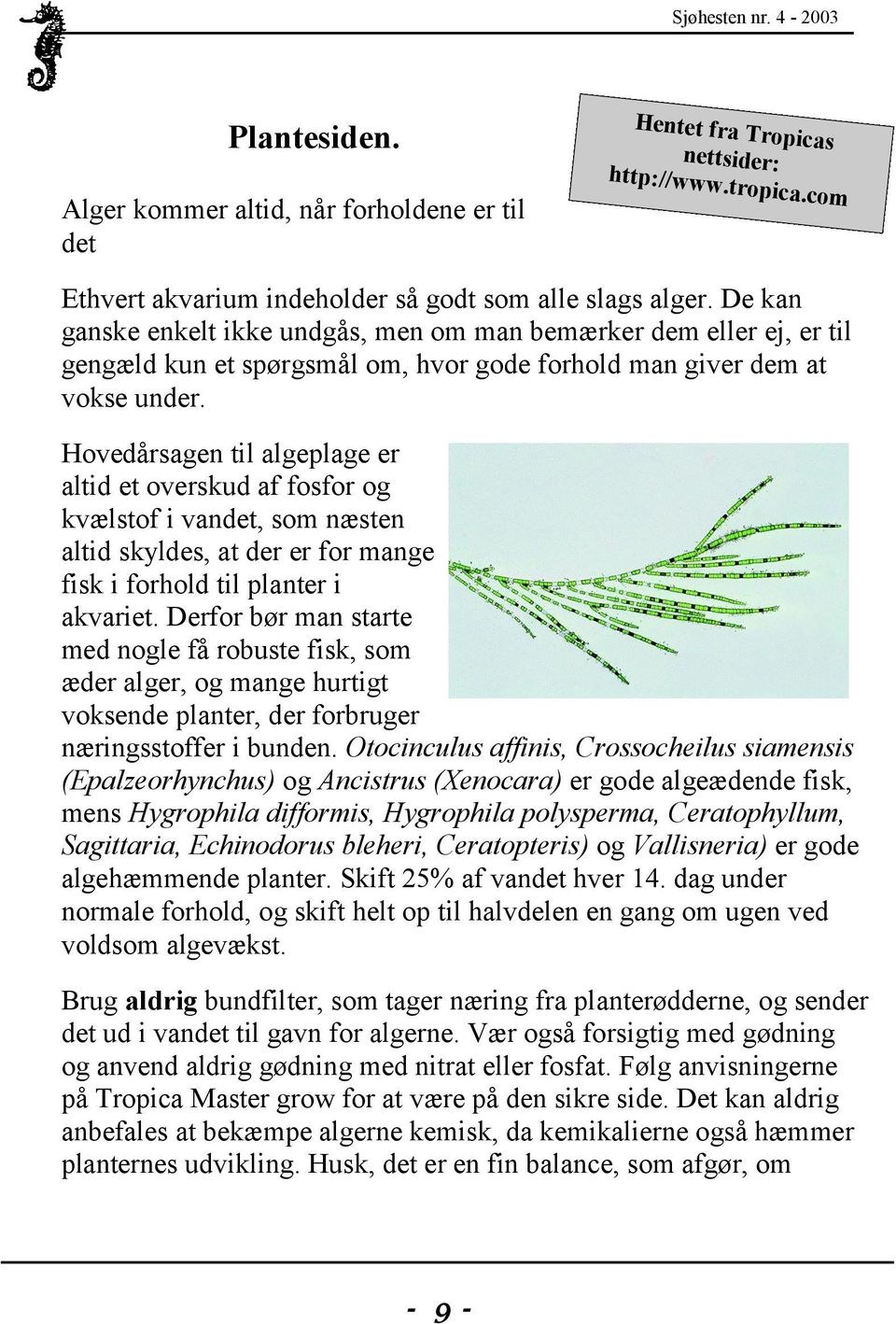 Hovedårsagen til algeplage er altid et overskud af fosfor og kvælstof i vandet, som næsten altid skyldes, at der er for mange fisk i forhold til planter i akvariet.