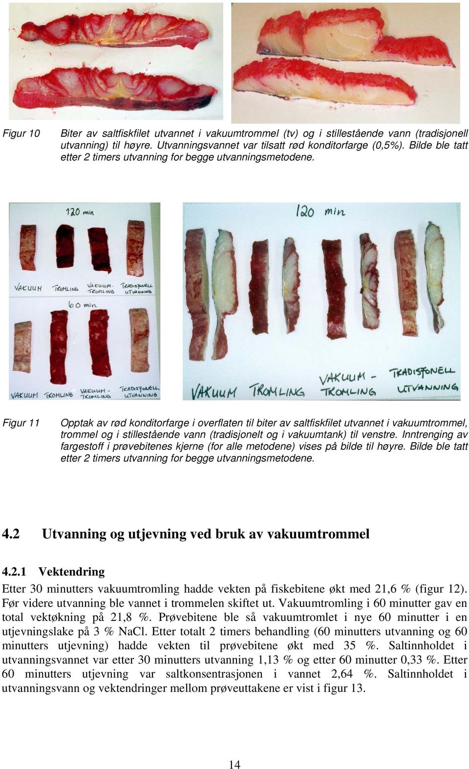 Figur 11 Opptak av rød konditorfarge i overflaten til biter av saltfiskfilet utvannet i vakuumtrommel, trommel og i stillestående vann (tradisjonelt og i vakuumtank) til venstre.