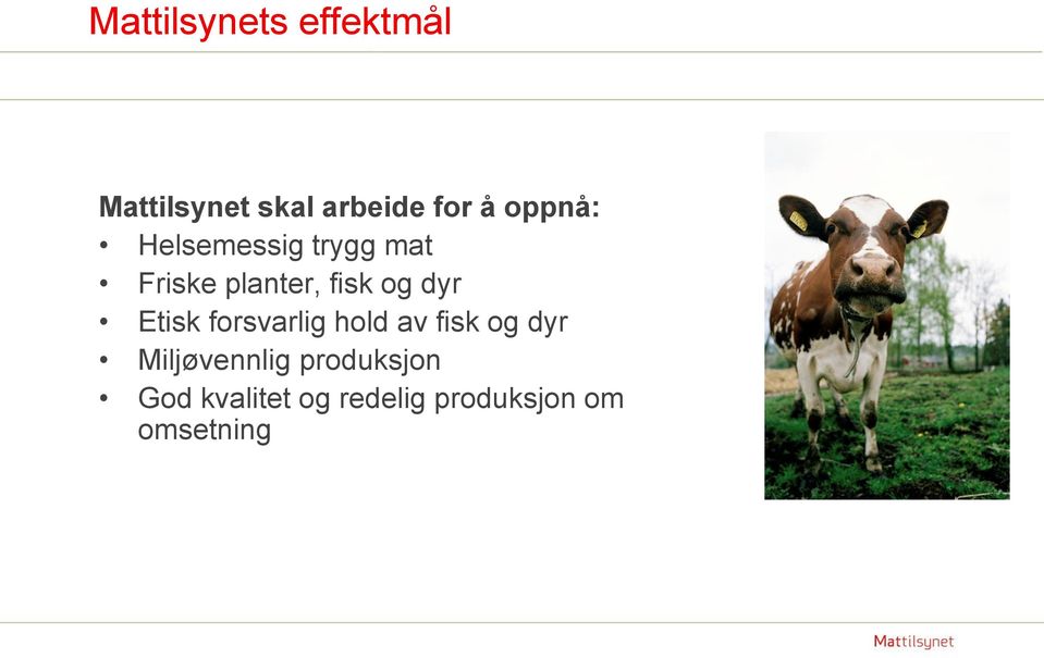 dyr Etisk forsvarlig hold av fisk og dyr Miljøvennlig