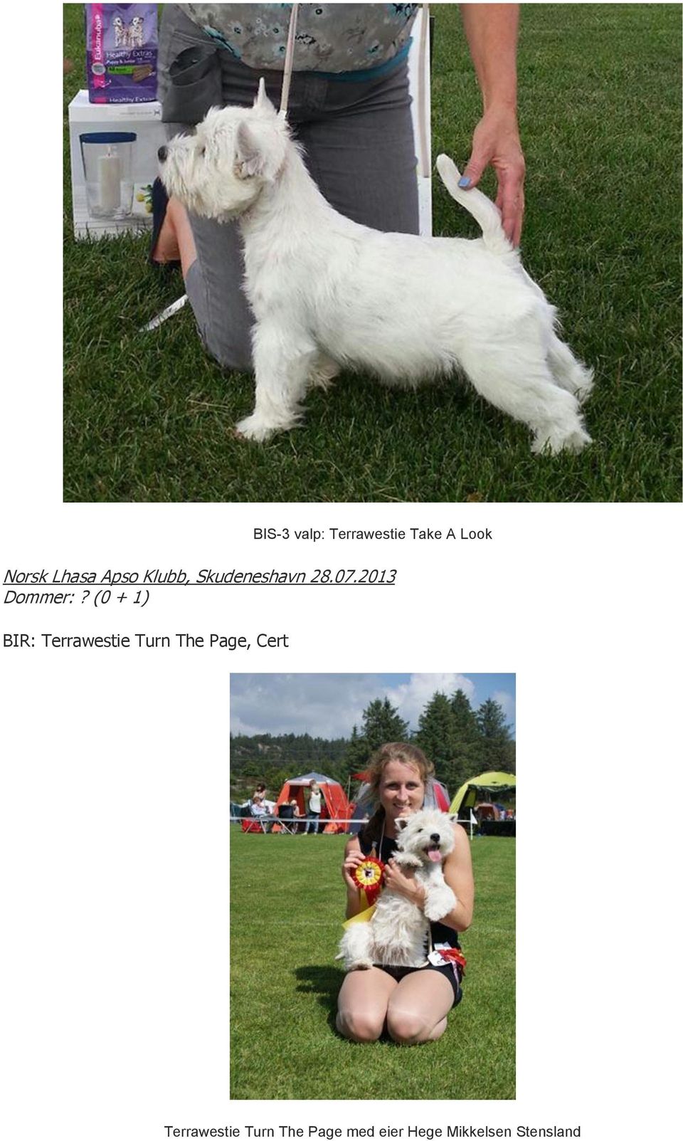 (0 + 1) BIR: Terrawestie Turn The Page, Cert