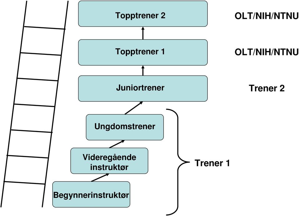 Juniortrener Trener 2