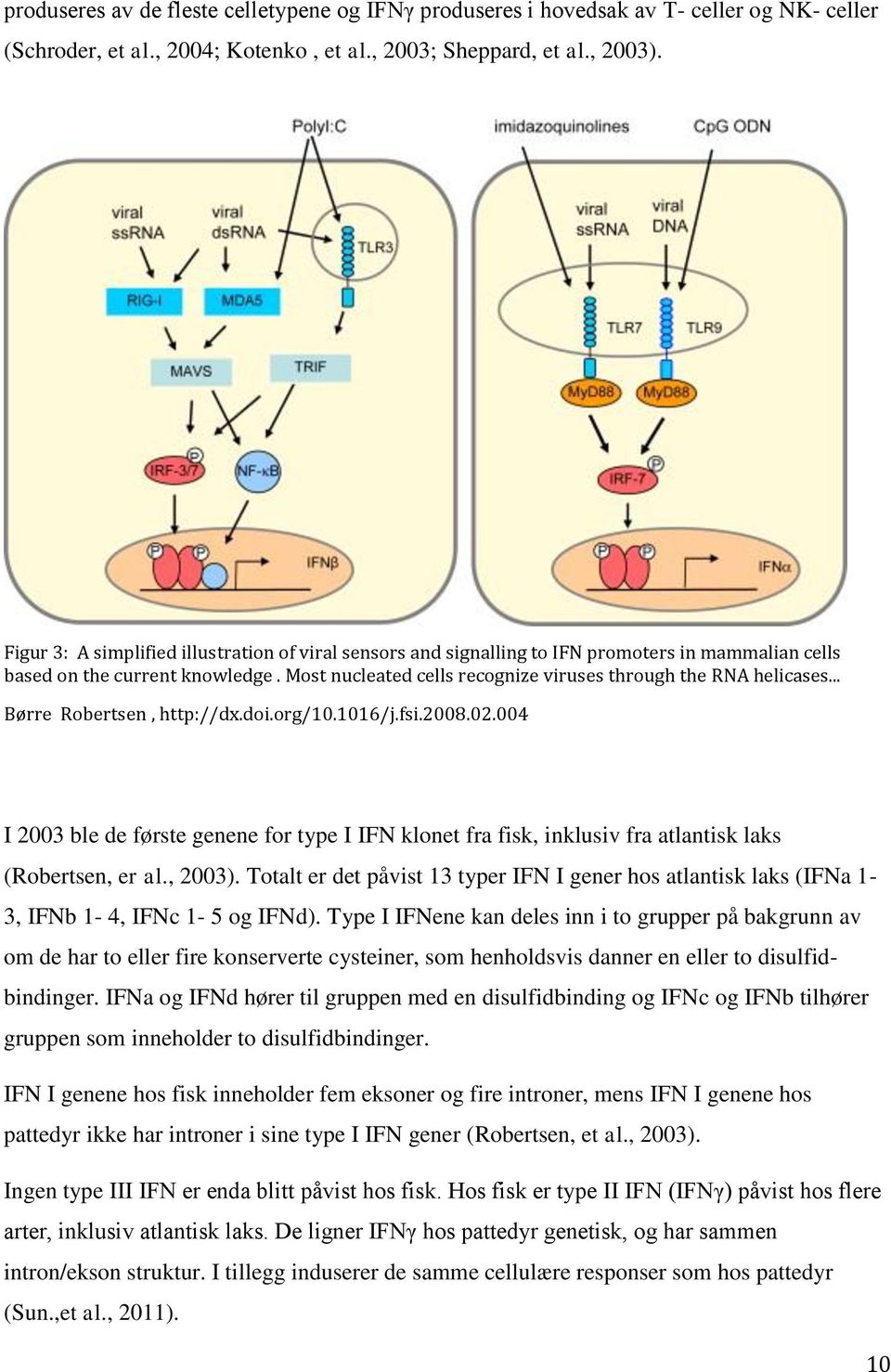 .. Børre Robertsen, http://dx.doi.org/10.1016/j.fsi.2008.02.004 I 2003 ble de første genene for type I IFN klonet fra fisk, inklusiv fra atlantisk laks (Robertsen, er al., 2003).