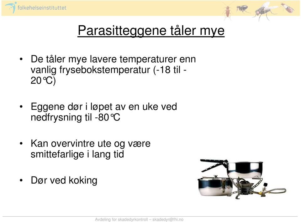 20 C) Eggene dør i løpet av en uke ved nedfrysning til