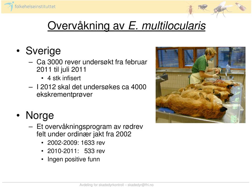 2011 4 stk infisert I 2012 skal det undersøkes ca 4000 ekskrementprøver