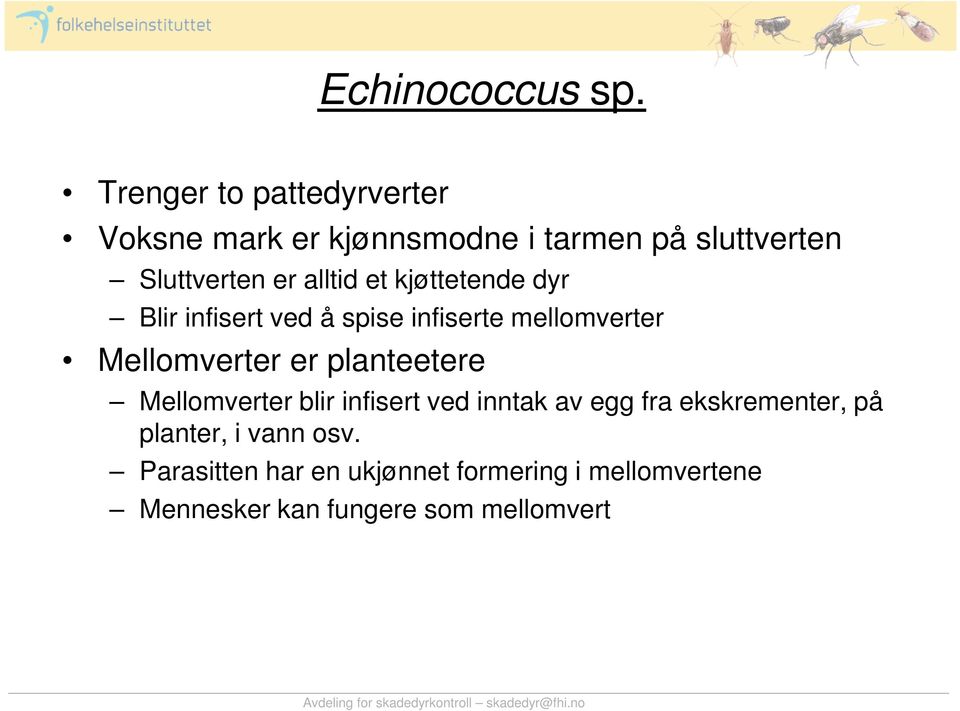 alltid et kjøttetende dyr Blir infisert ved å spise infiserte mellomverter Mellomverter er