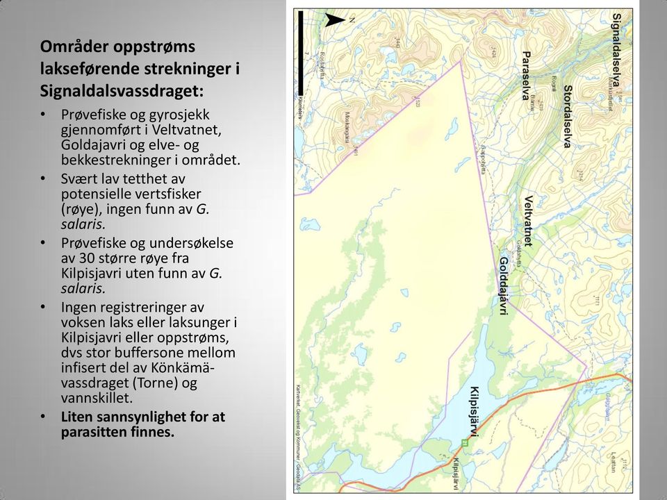 Prøvefiske og undersøkelse av 30 større røye fra Kilpisjavri uten funn av G. salaris.