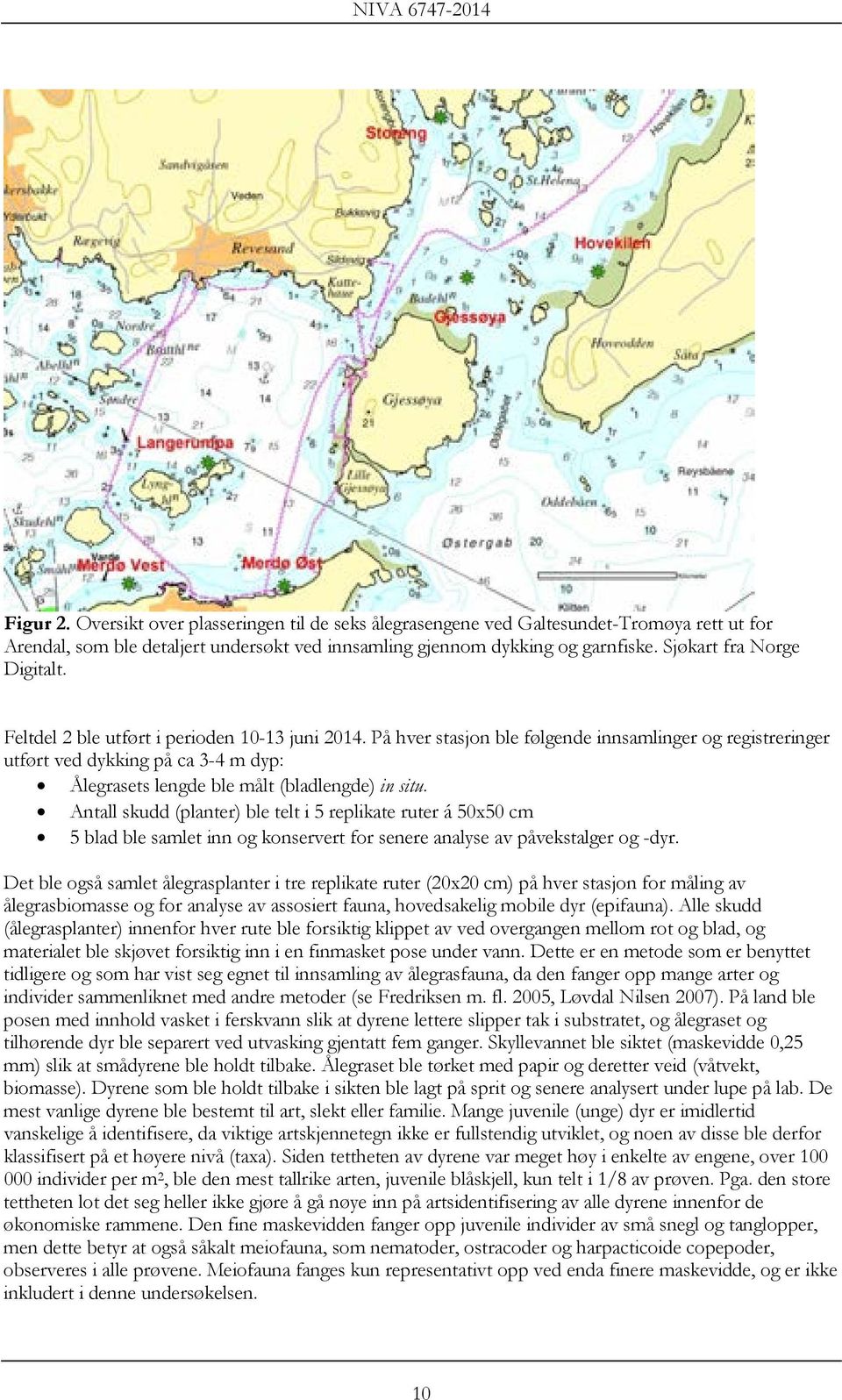 På hver stasjon ble følgende innsamlinger og registreringer utført ved dykking på ca 3-4 m dyp: Ålegrasets lengde ble målt (bladlengde) in situ.