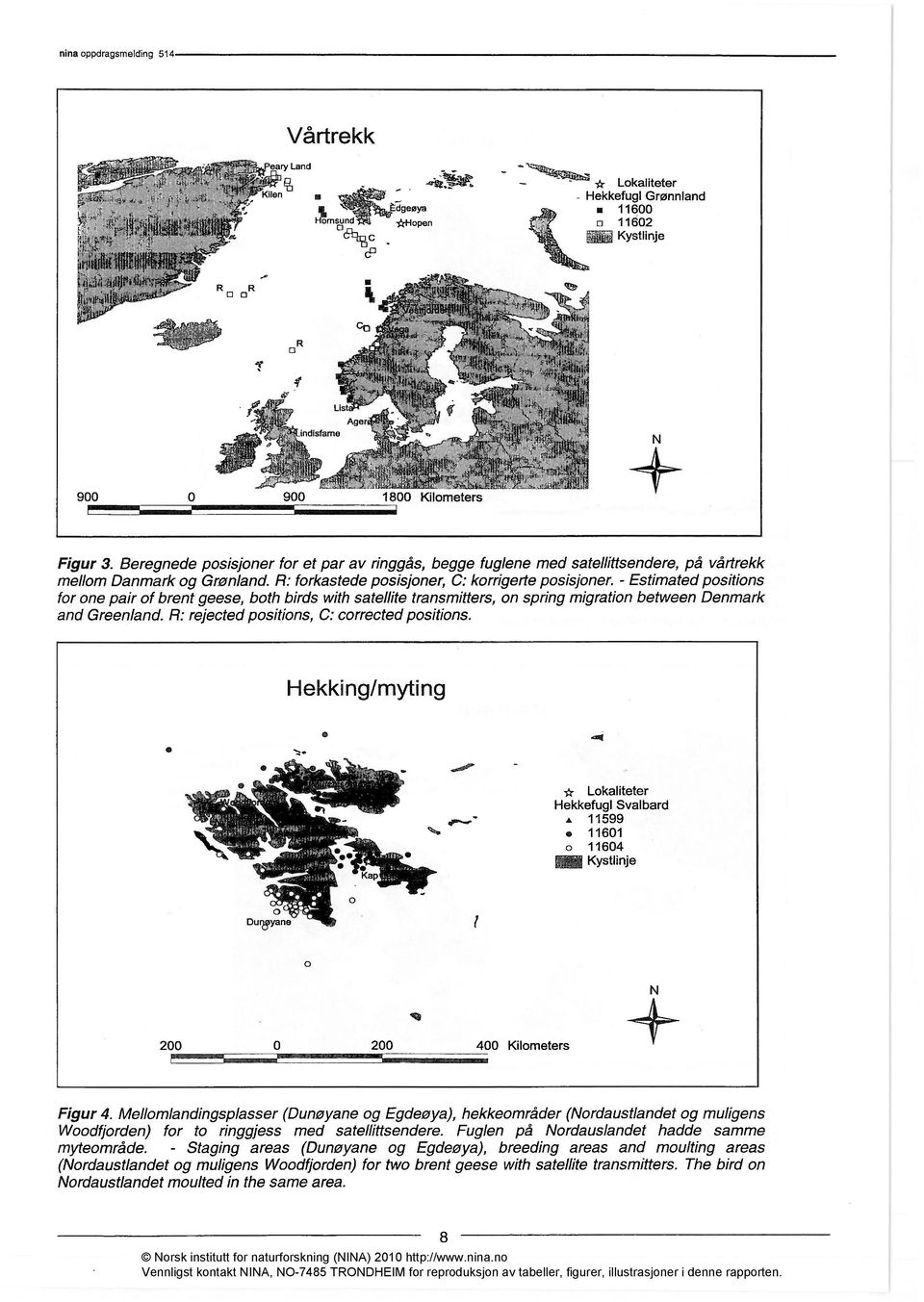 Beregnede posisjoner for et par av ringgås, begge fuglene med satellittsendere, på vårtrekk mellom Danmark og Grønland. R: forkastede posisjoner, C: korrigerte posisjoner.