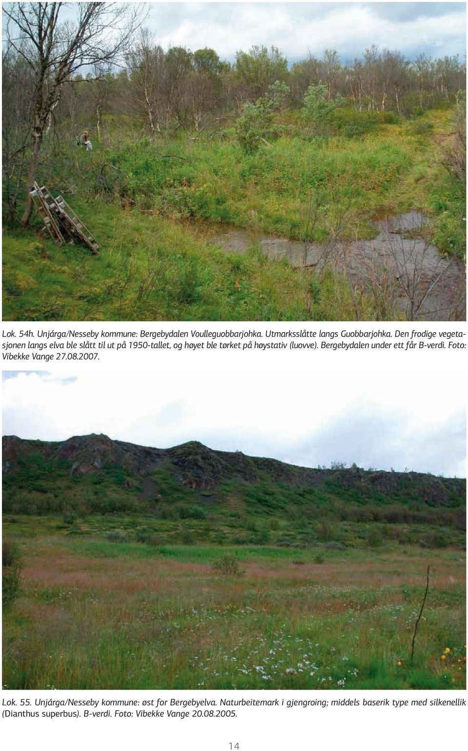 Bergebydalen under ett får B-verdi. Foto: Vibekke Vange 27.08.2007. Lok. 55.