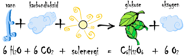 KLIMAENDRINGER