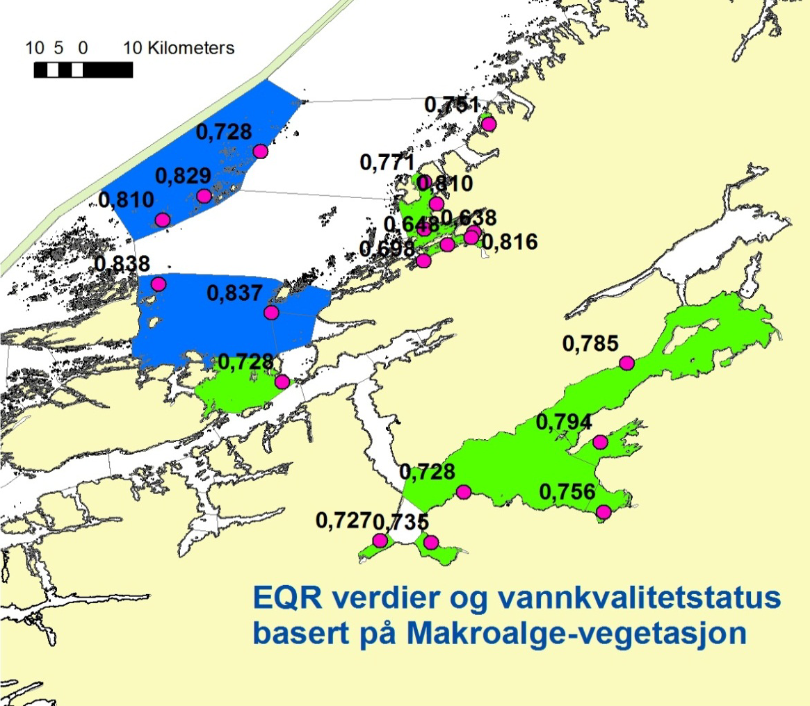 Figur 34. Foreløpig tilstand for vannforekomstene i Trøndelagsregionen basert på makroalgeindeksen RSLA.