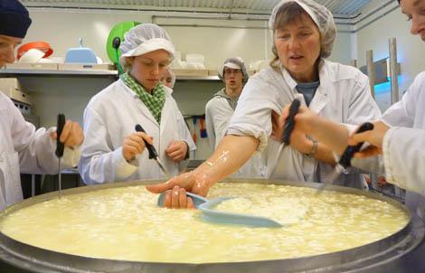 Måle type og mengde protein, fettcellenes størrelse, fettsyresammensetningen og mineralinnhold.