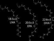 Delmål i prosjektet Delmål 1 Genotype for proteinvarianter som kasein og myseprotein caseiner α S1, α S2, β,