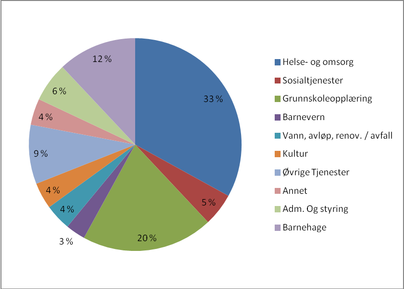 - 7 - Skal vi nå målsettingen om gode og likeverdige tjenester til innbyggerne i framtida vil kunnskap og kompetanse hos de som skal sørge for tjenestene være en avgjørende faktor.